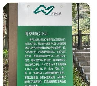 青秀山码头旧址旅行图片 1
