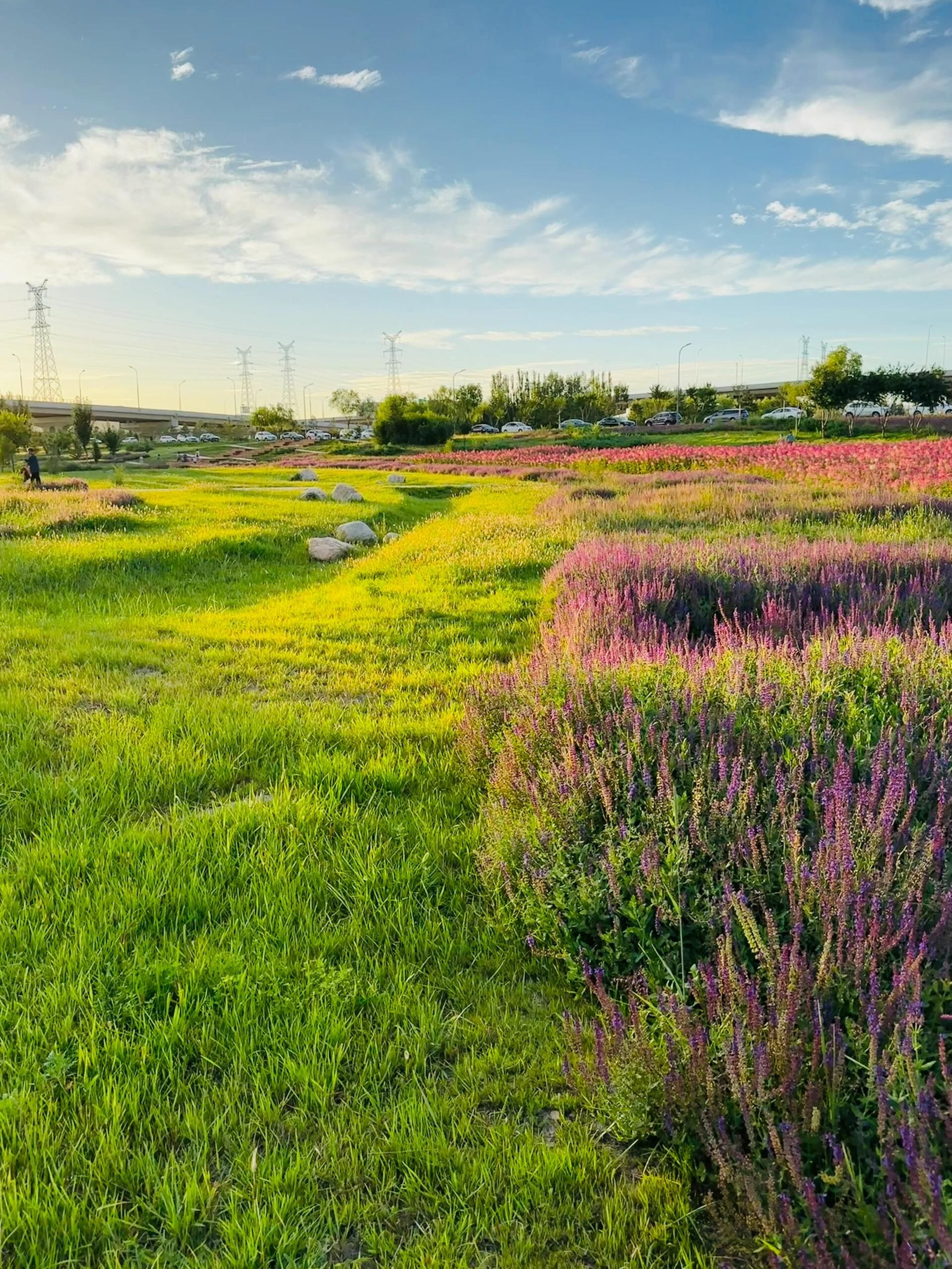 大黑河郊野公园旅行图片 3