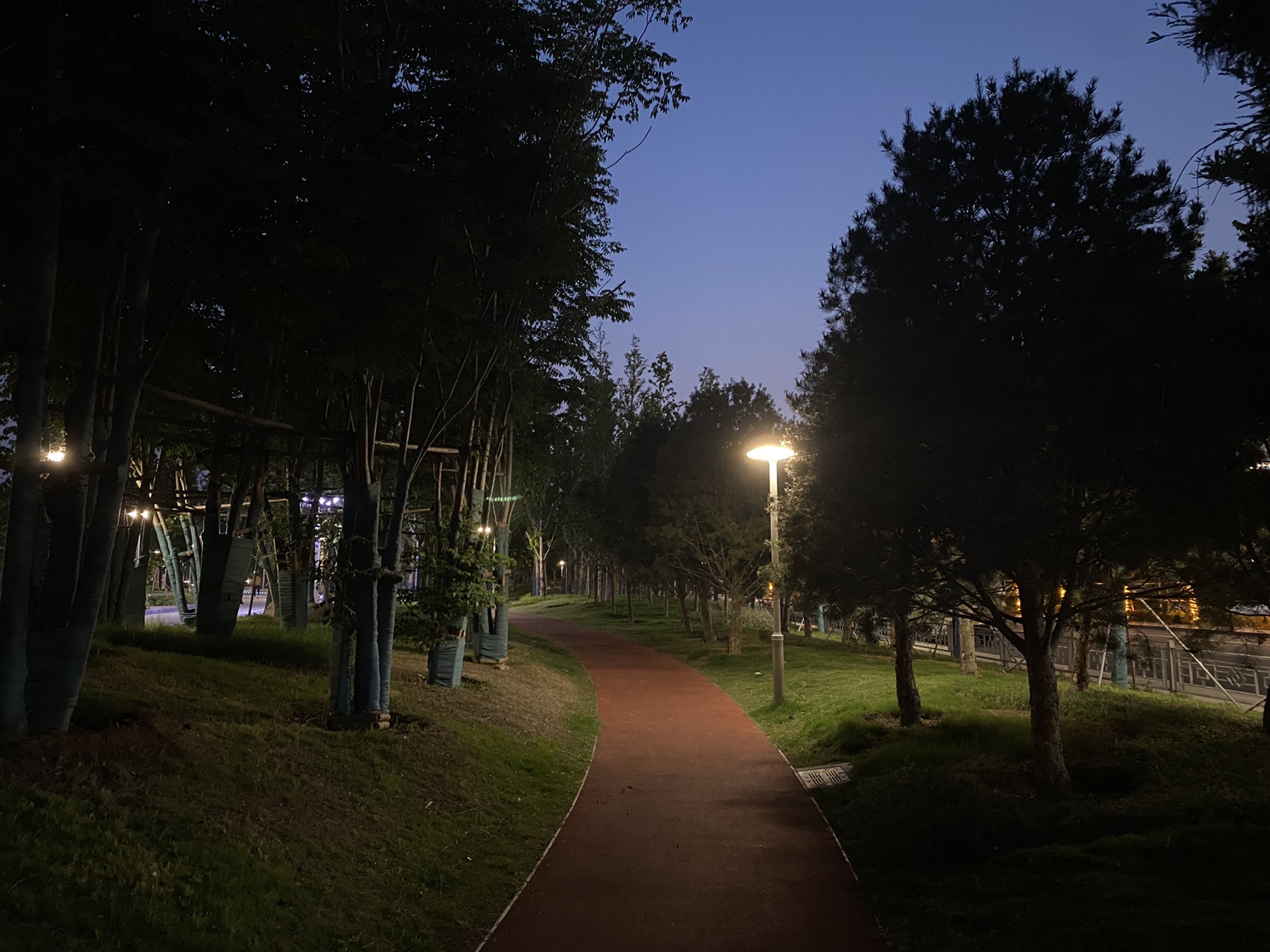 临沂高新区人民公园旅行图片 3
