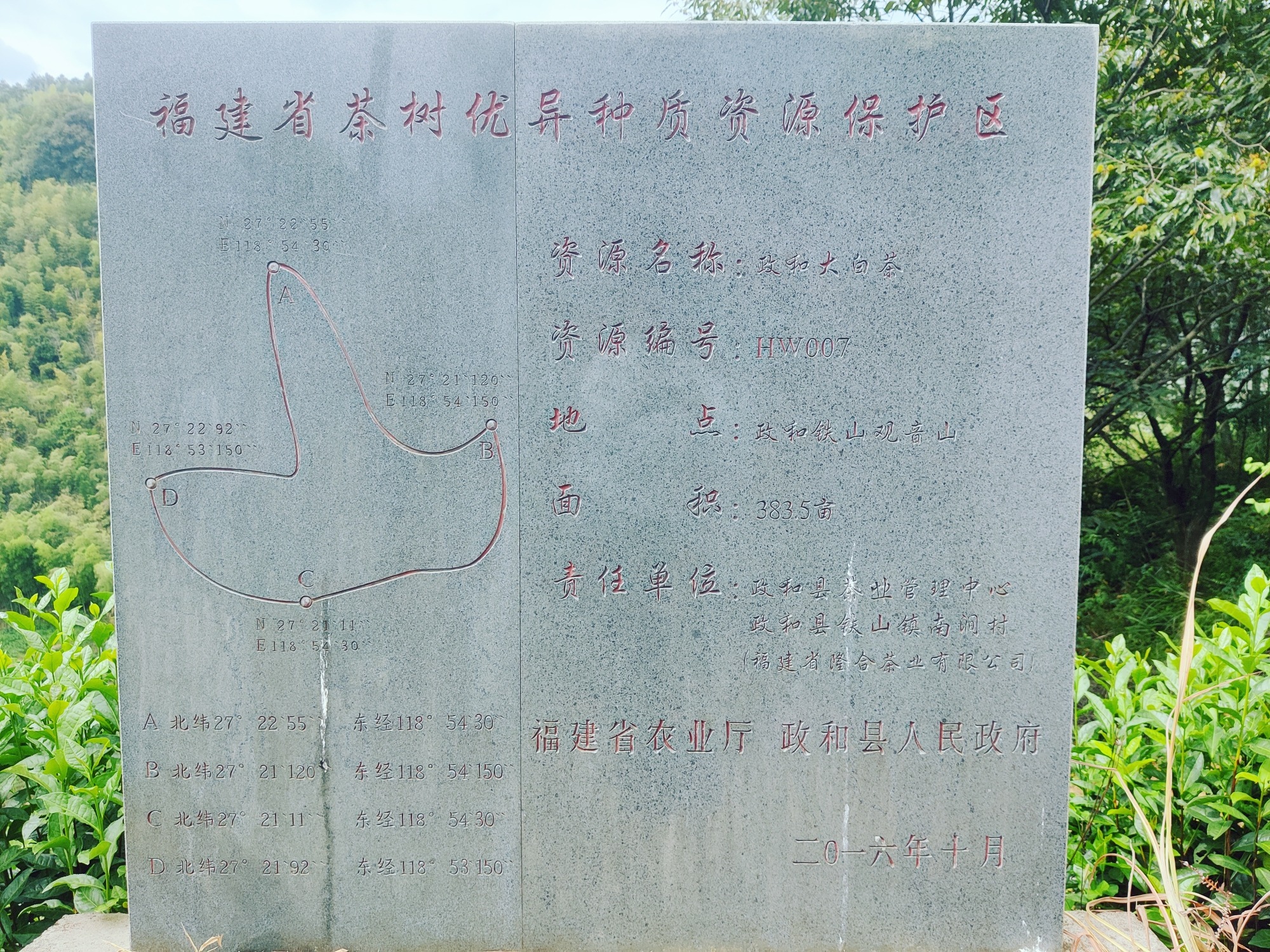 隆合·紫芽精舍旅行图片