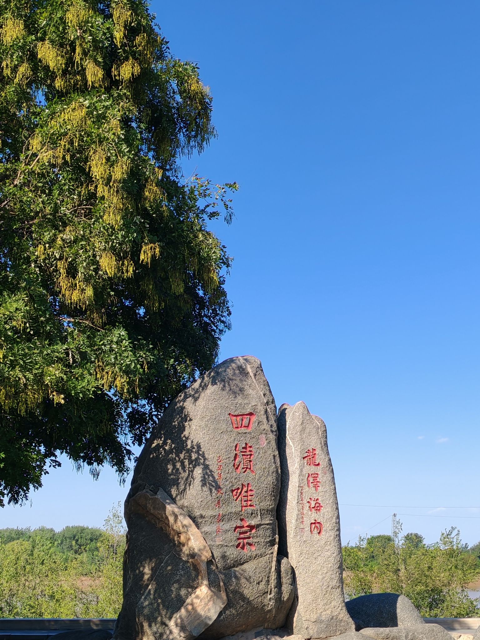 黄河观景台旅行图片 2