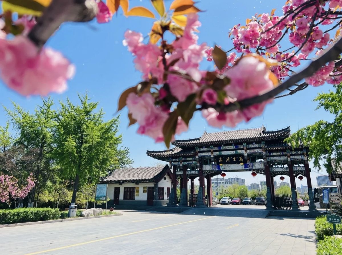 黄河观景台旅行图片 1