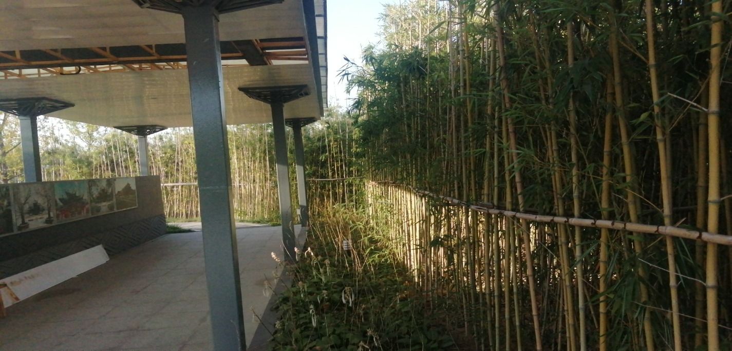 定州园旅行图片 1