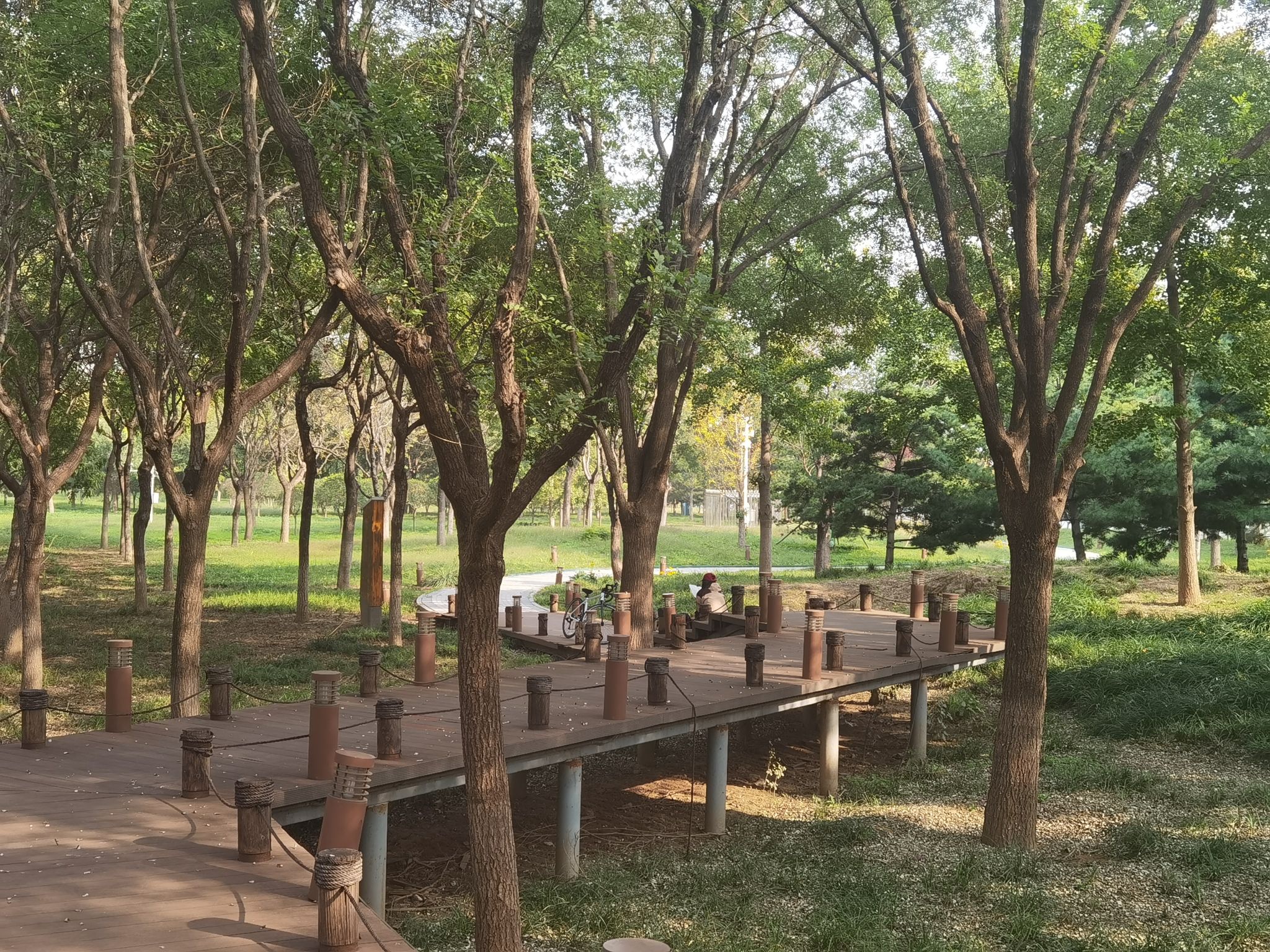 北京(通州)大运河文化旅游景区旅行图片 3