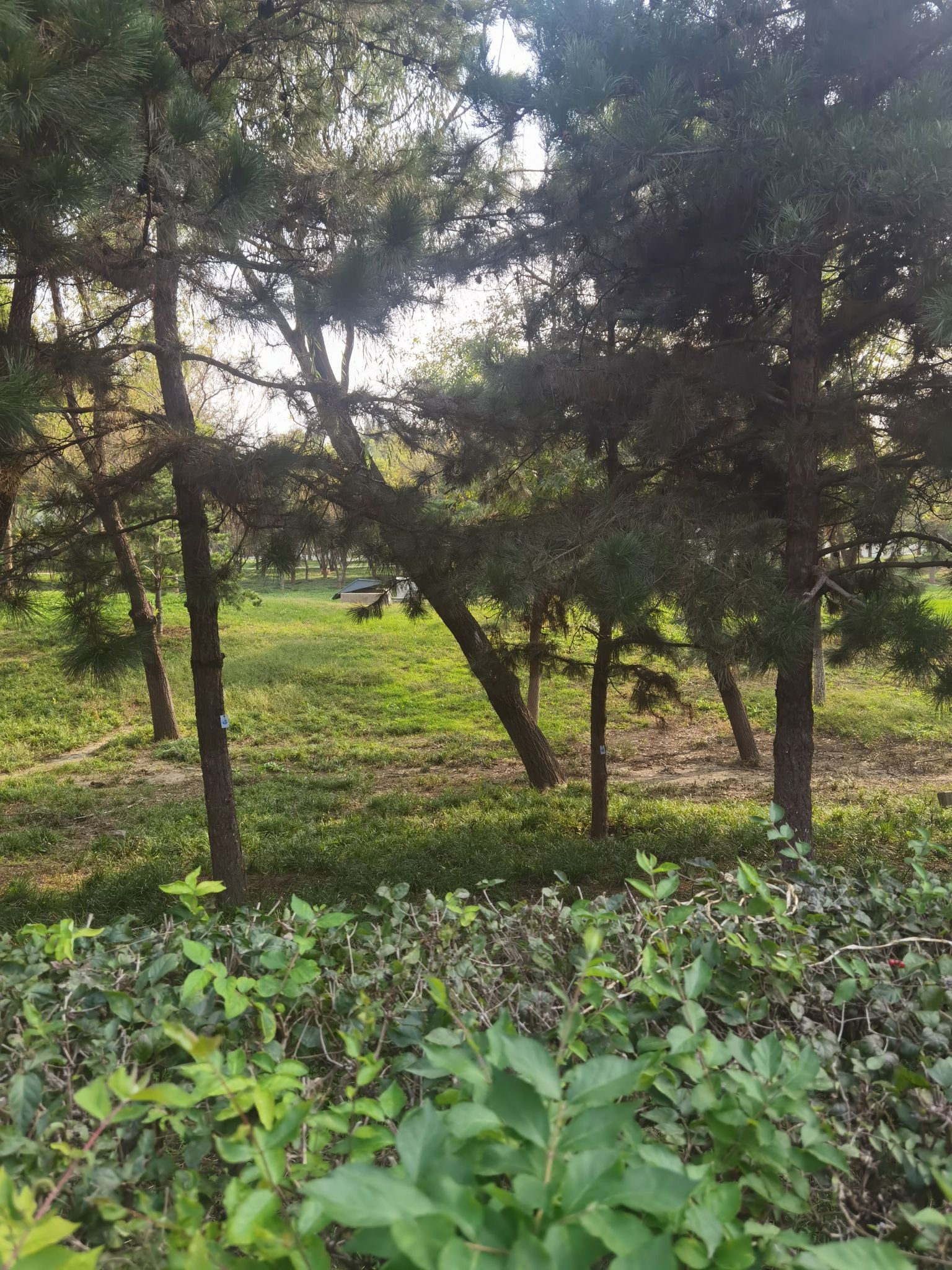 北京(通州)大运河文化旅游景区旅行图片 1