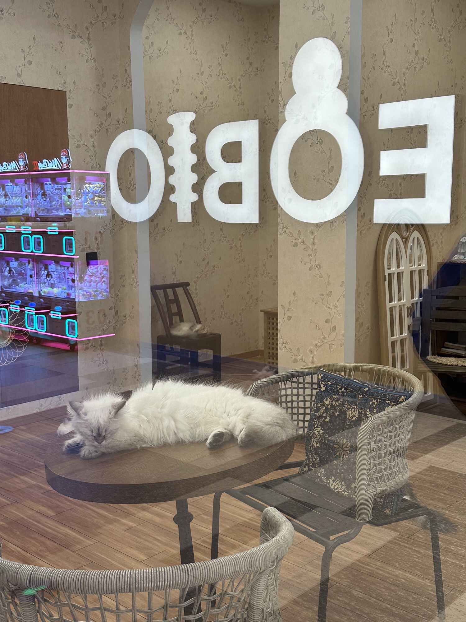 故事里猫咖(印象城)