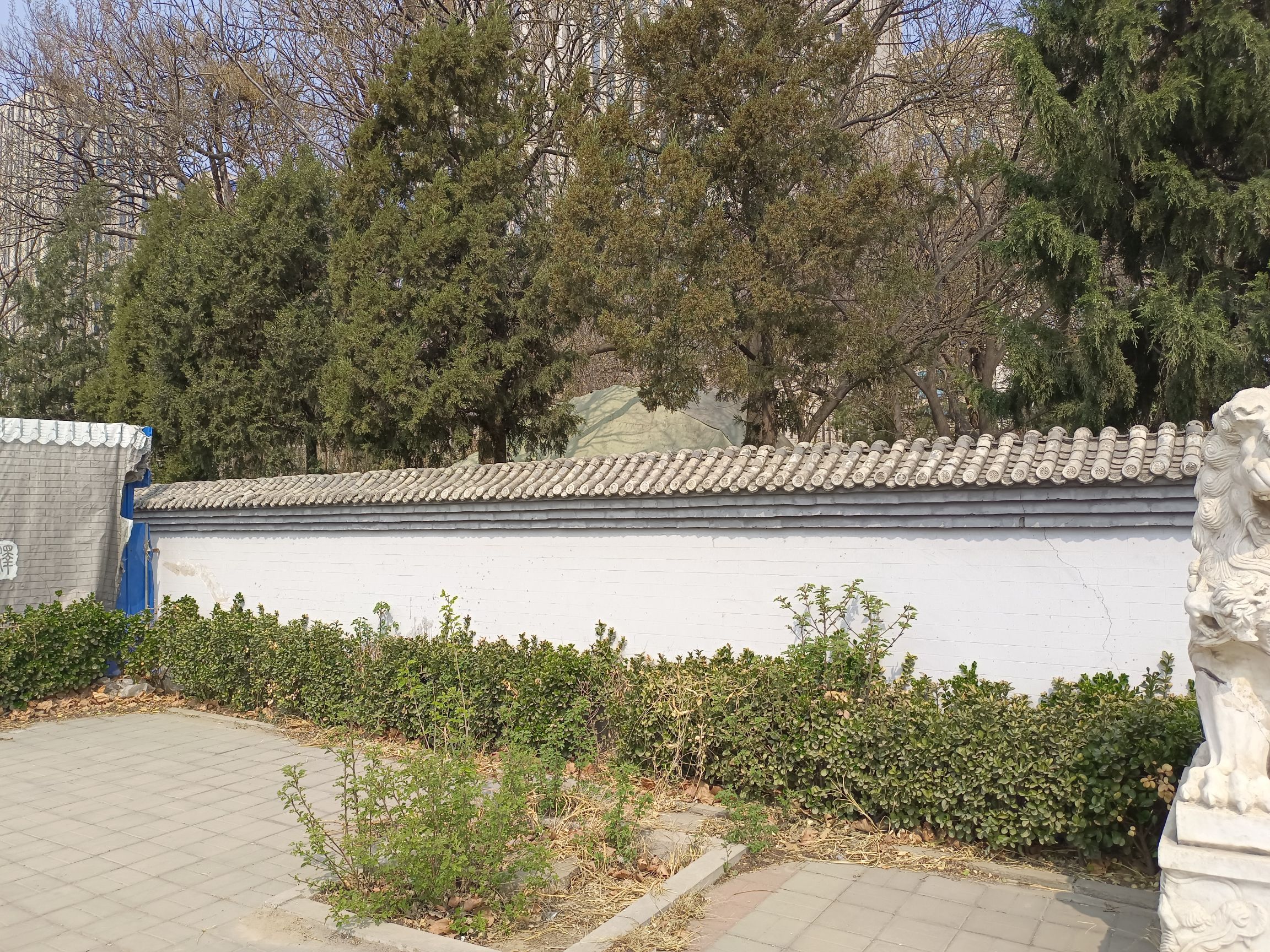 金中都城墙遗址公园旅行图片 3