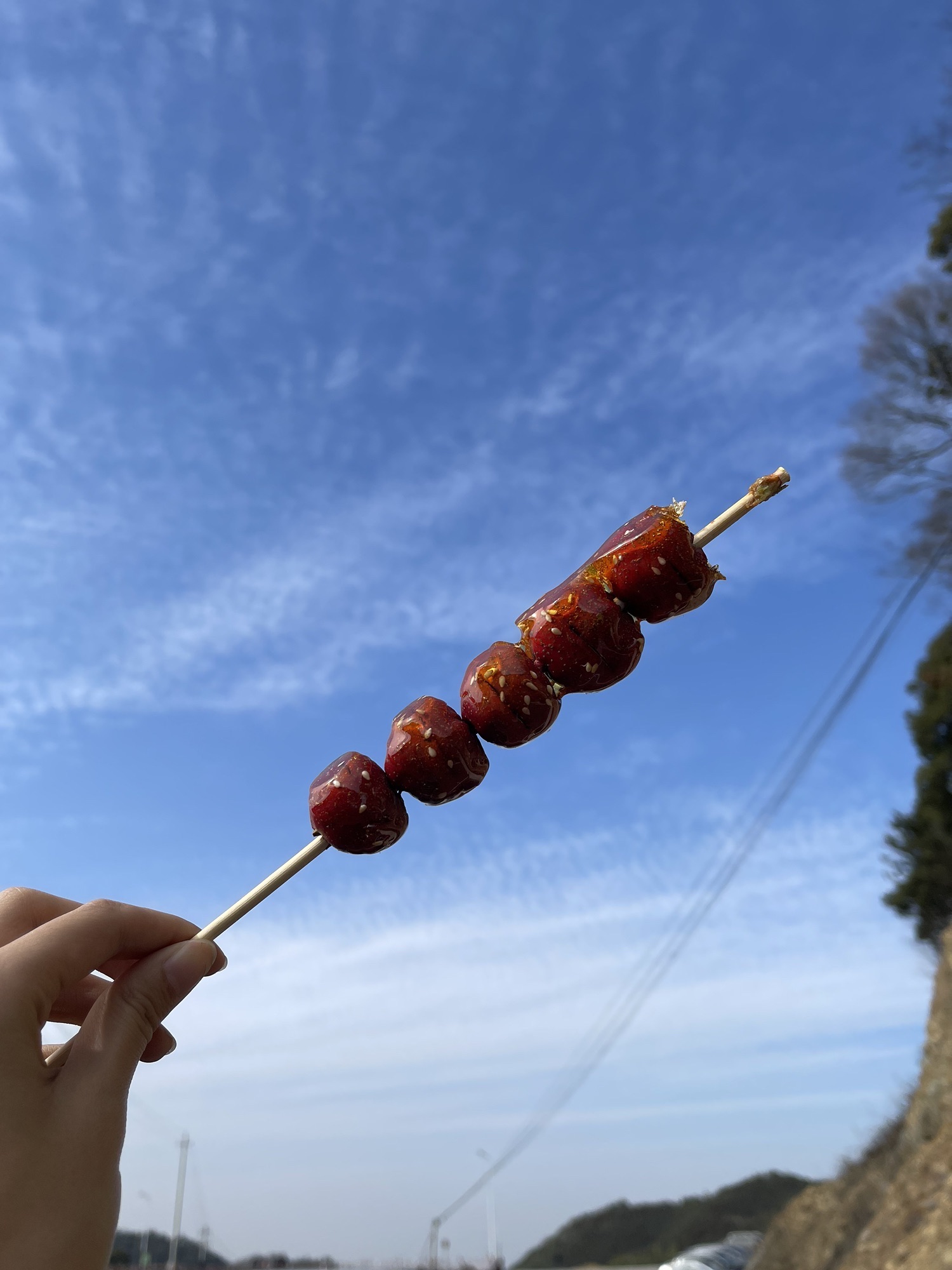 香隅公园旅行图片 2