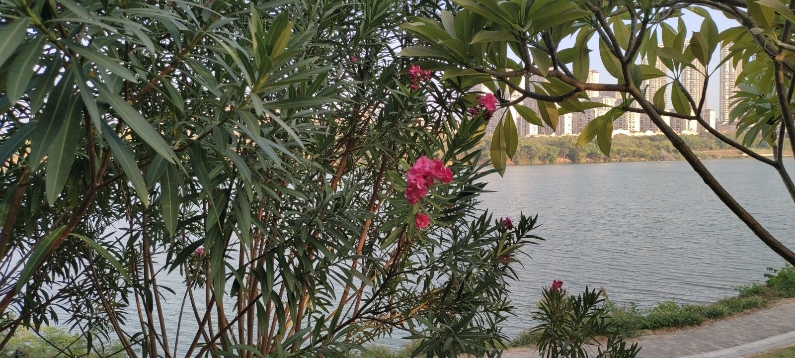 艳曦漫舞景区旅行图片 1
