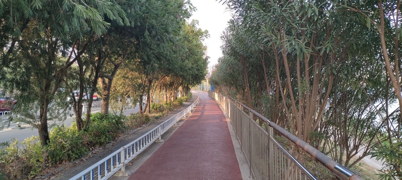 艳曦漫舞景区旅行图片 2