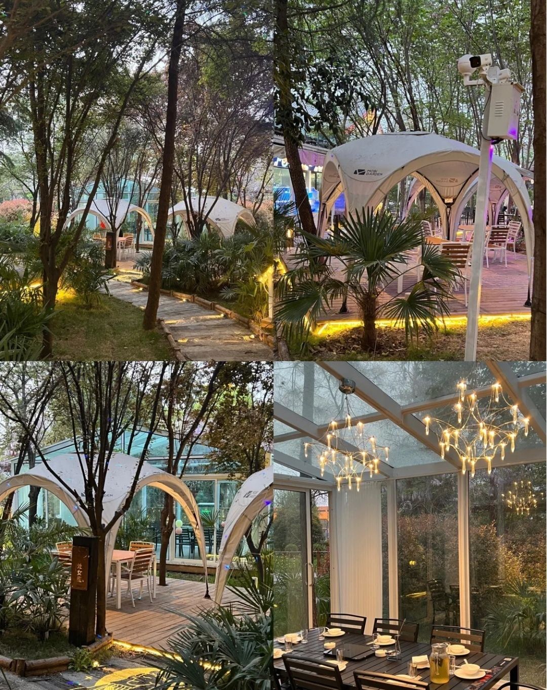 紫荆林·栖音乐餐厅(洛阳博物馆店)