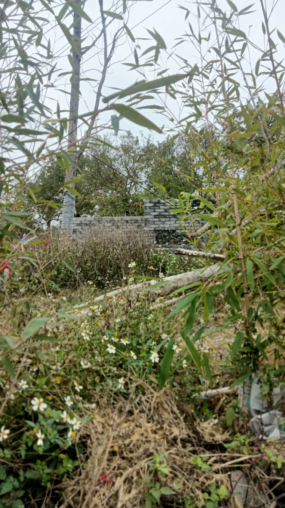 陈三坝旅行图片 3
