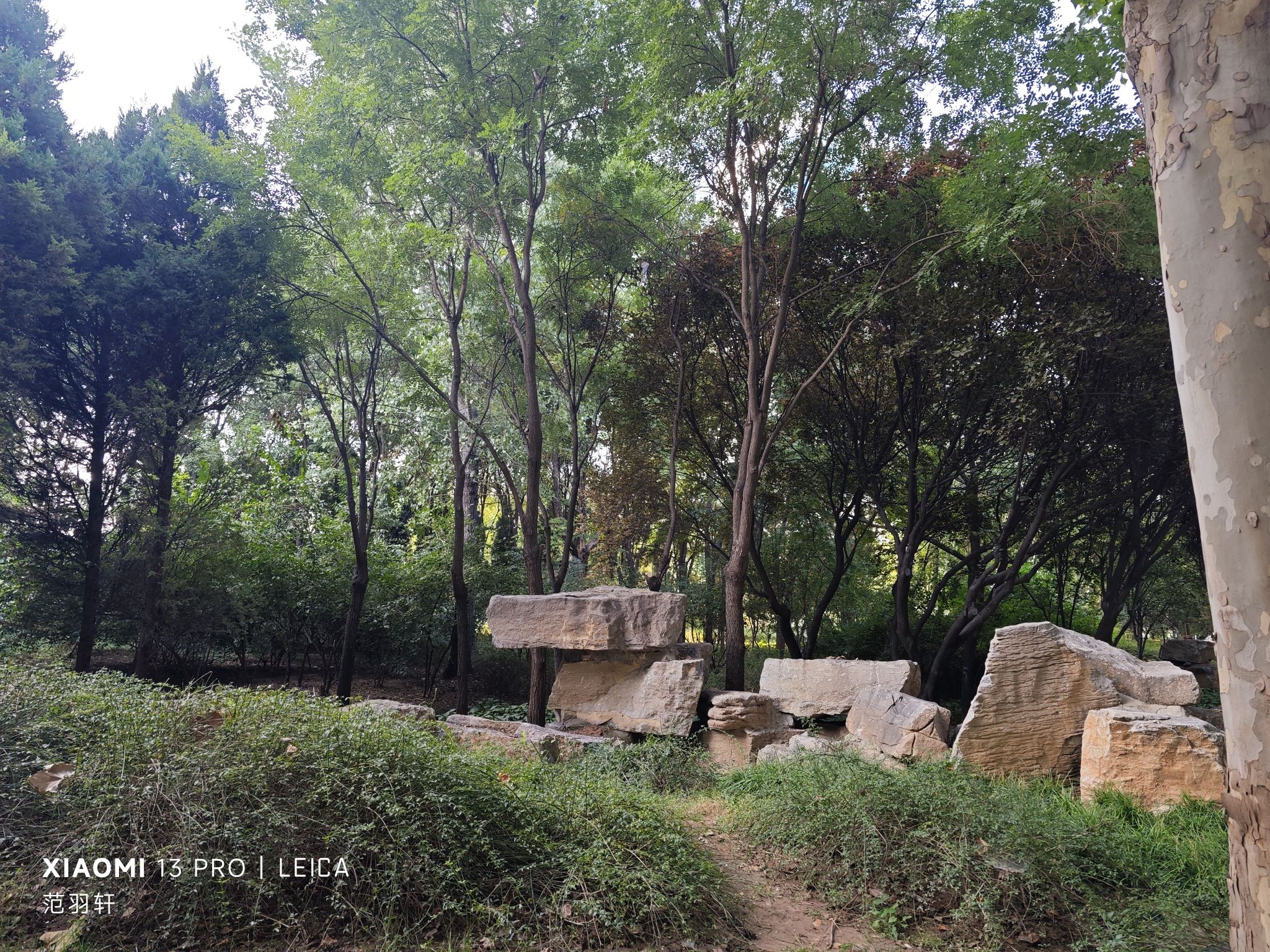 裕东公园旅行图片 1