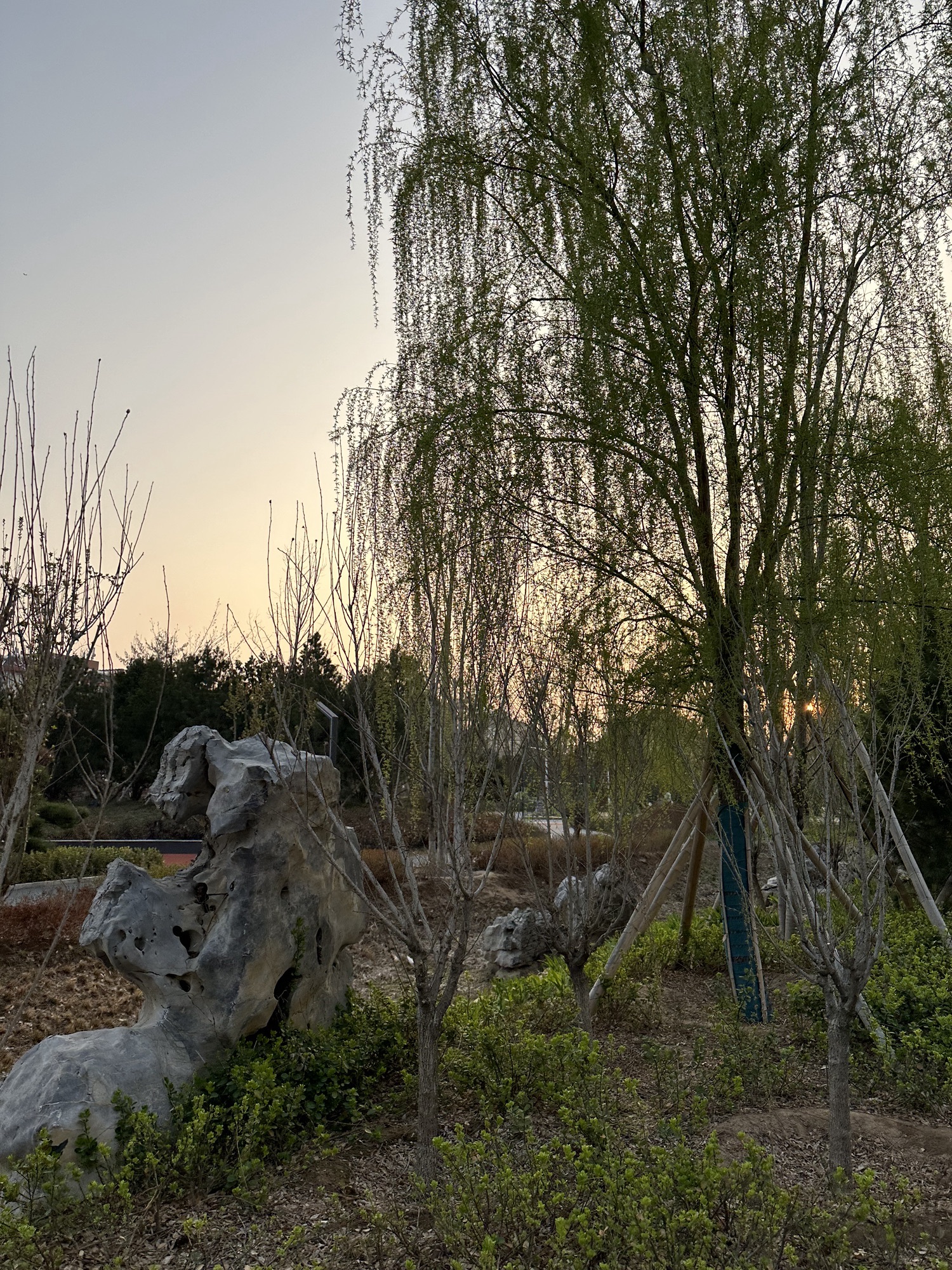 裕东公园旅行图片 2