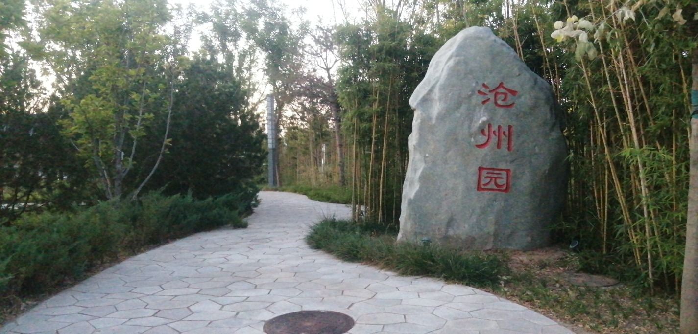 沧州园旅行图片 1