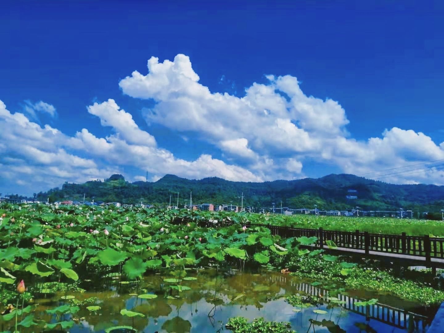 开江金山景区-黄金包休闲廊道