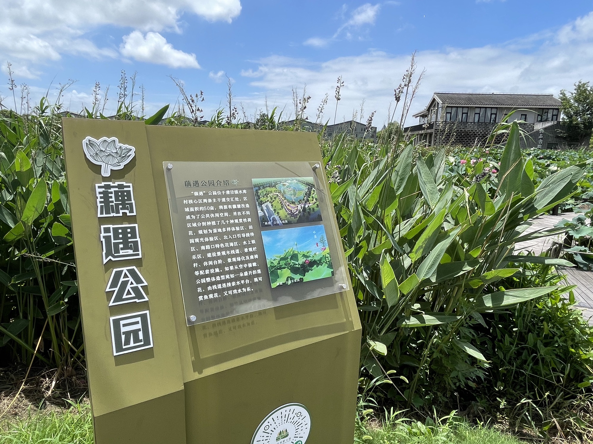 藕遇公园