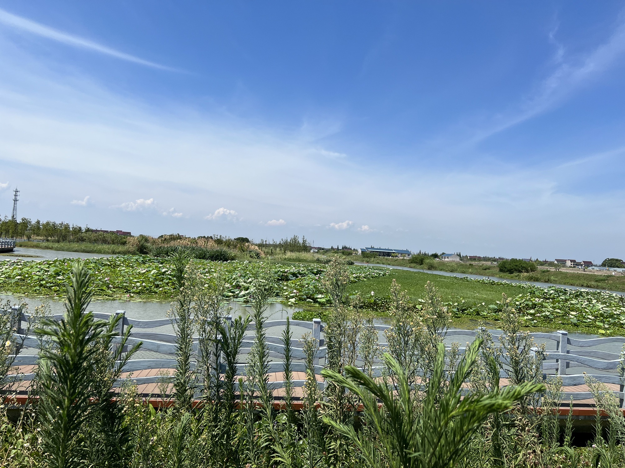 藕遇公园旅行图片 3