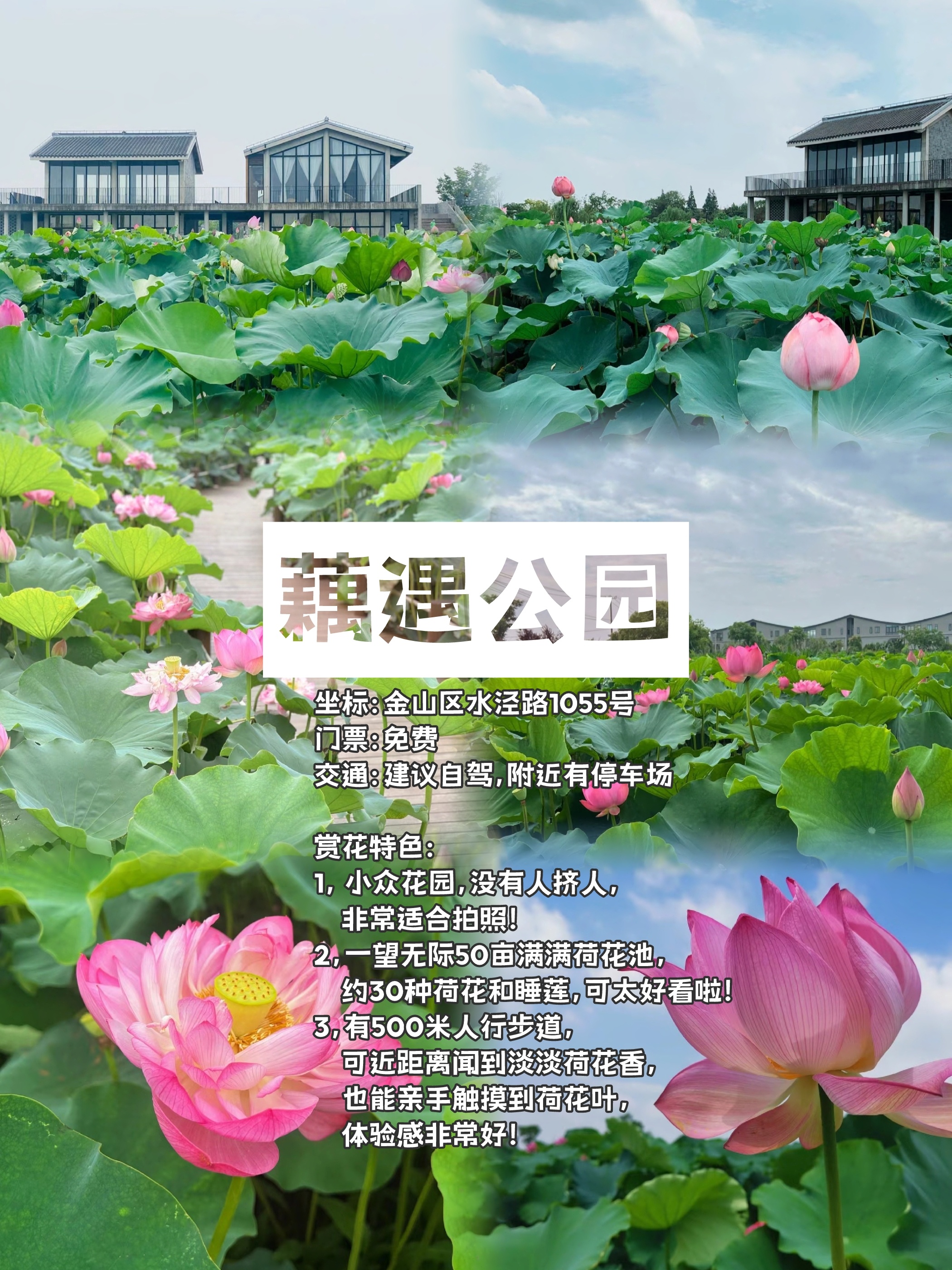藕遇公园旅行图片 1