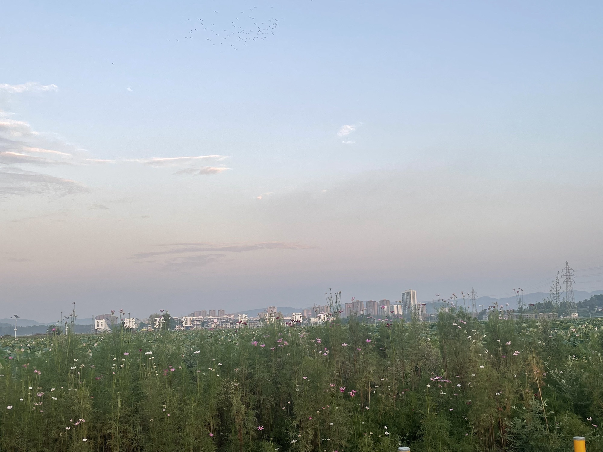 莲花世界旅行图片 3