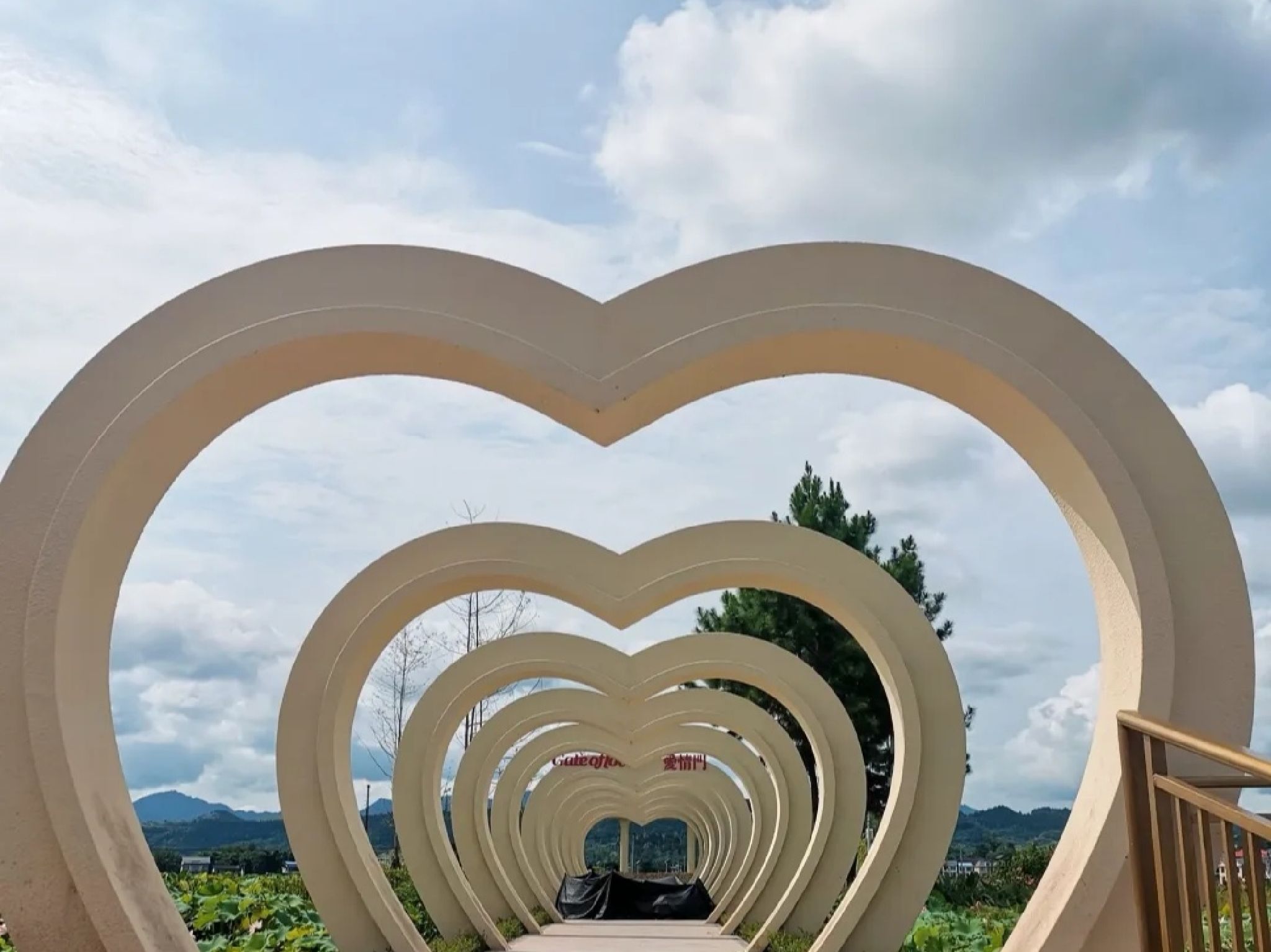 莲花世界旅行图片 1