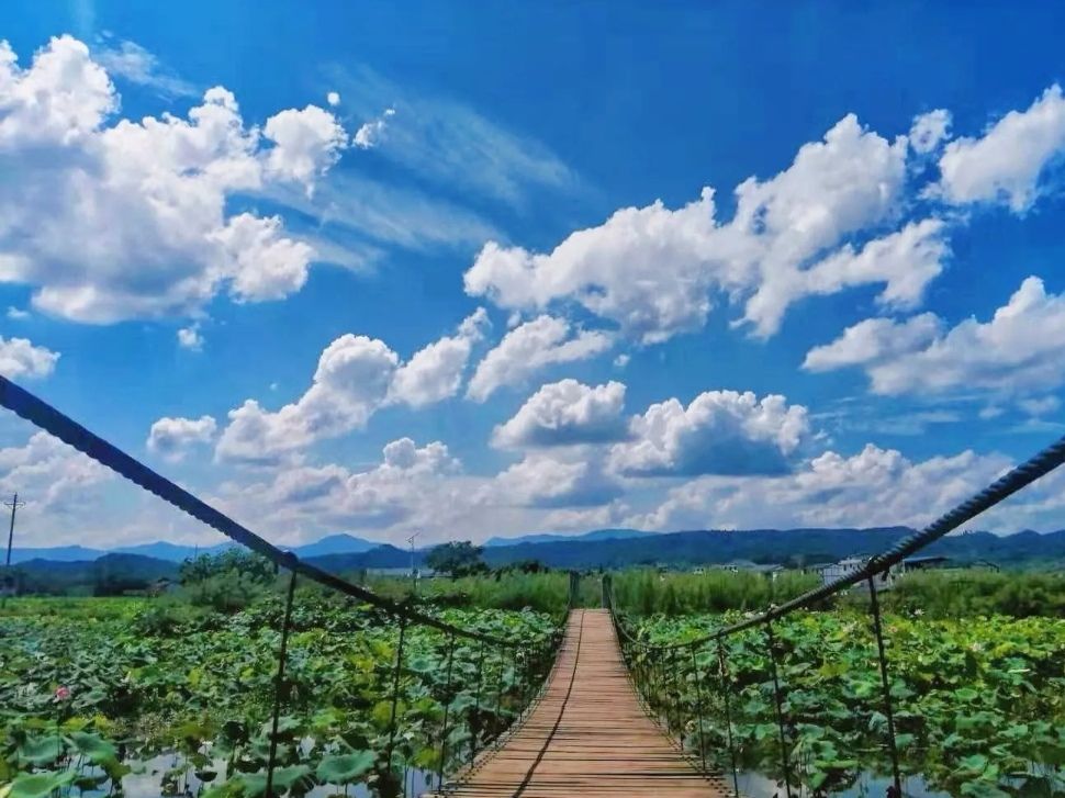 莲花世界旅行图片 2