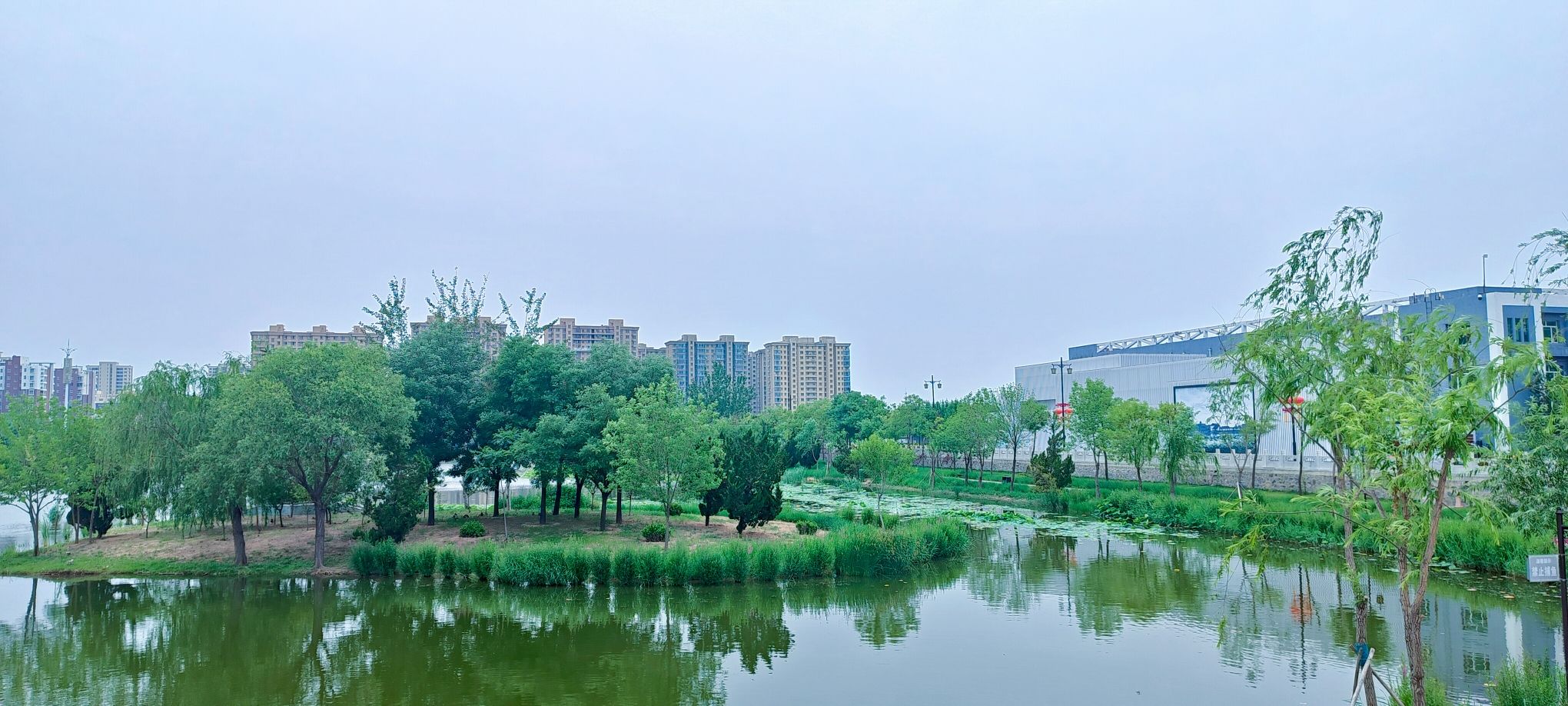 河间文庙旅行图片 3