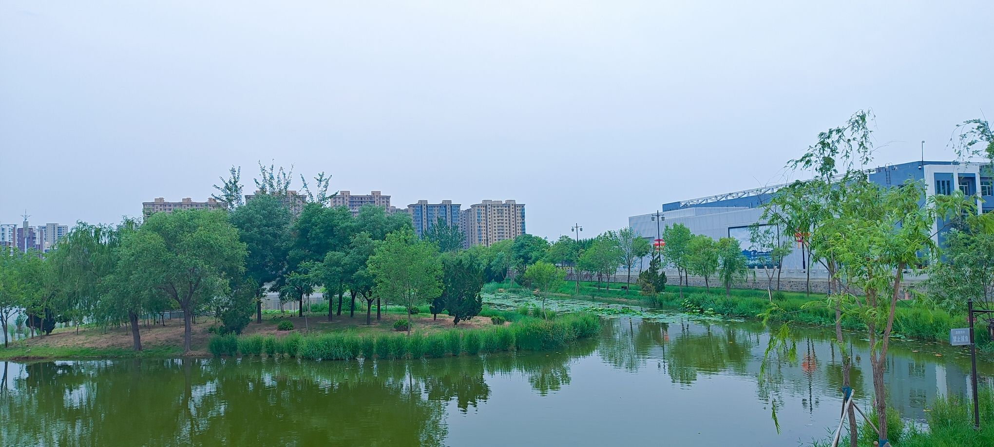 河间文庙旅行图片 2