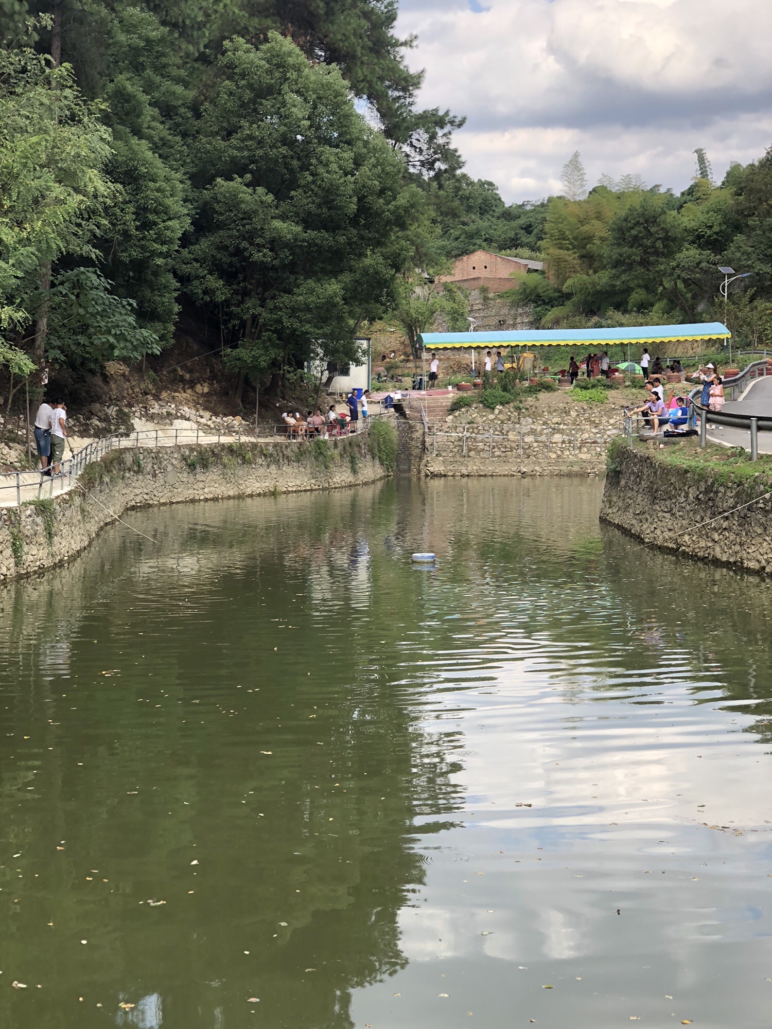 松林谷旅行图片 2