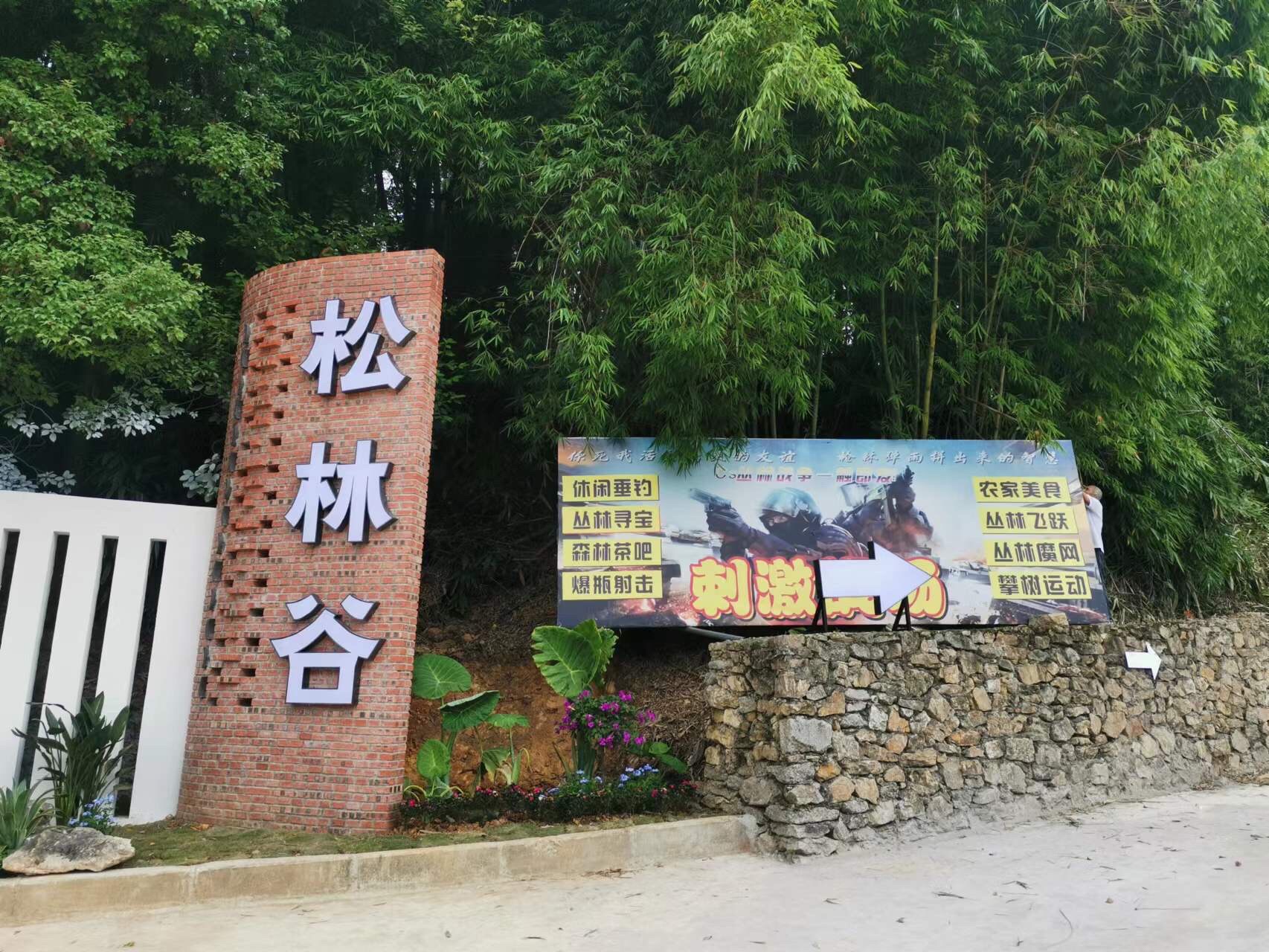 松林谷旅行图片 1