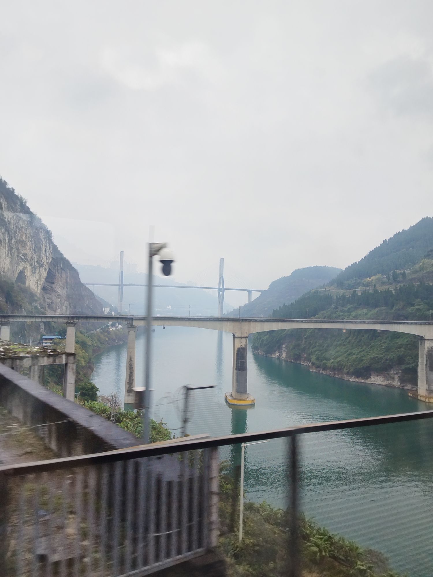 松林谷旅行图片 3