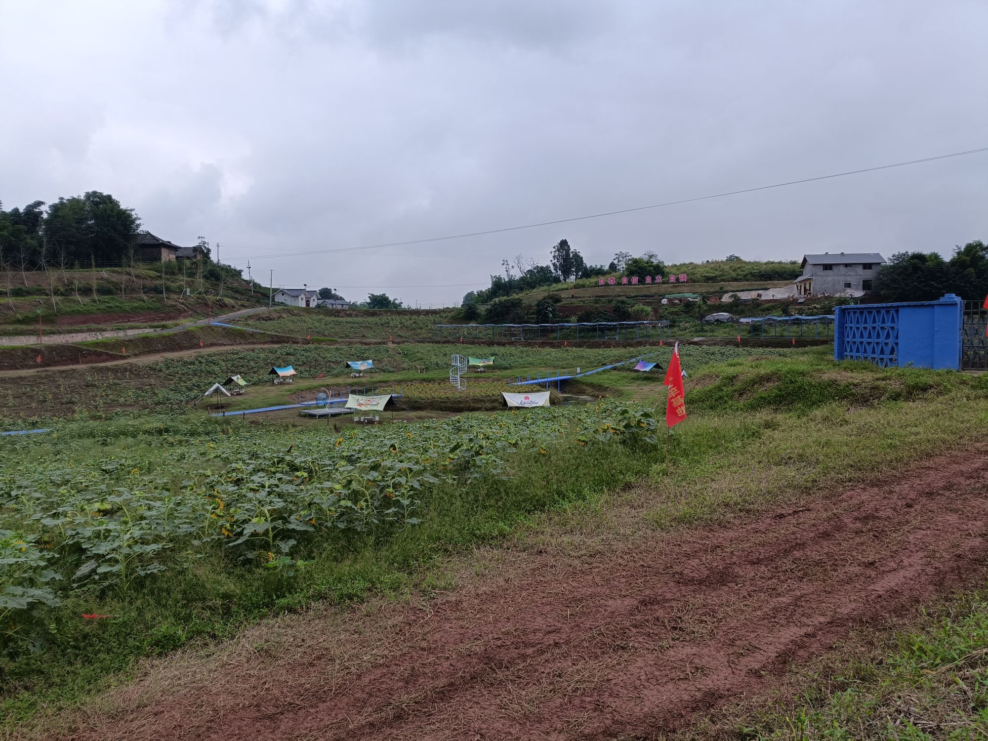 凤栖谷旅行图片 1