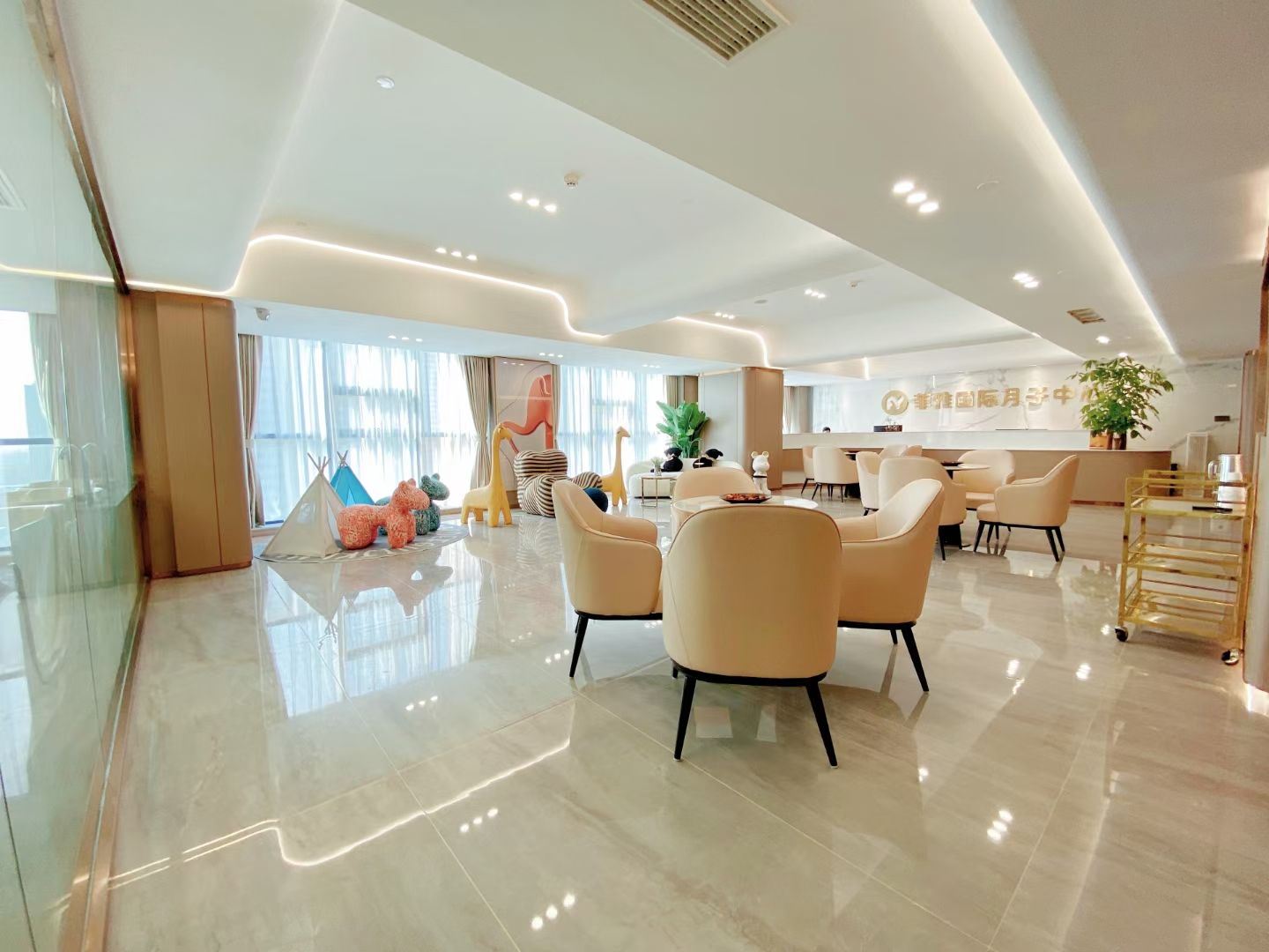 菲雅国际母婴月子会所(汉阳店)