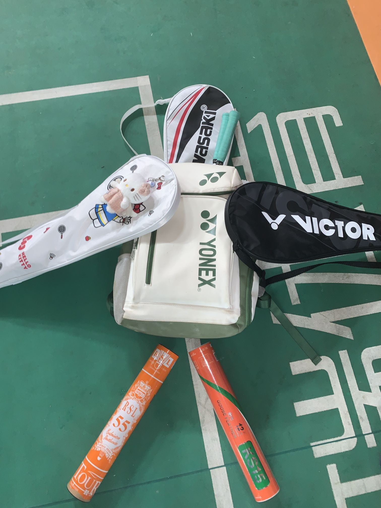 益阳星瑞体育文化传播有限公司