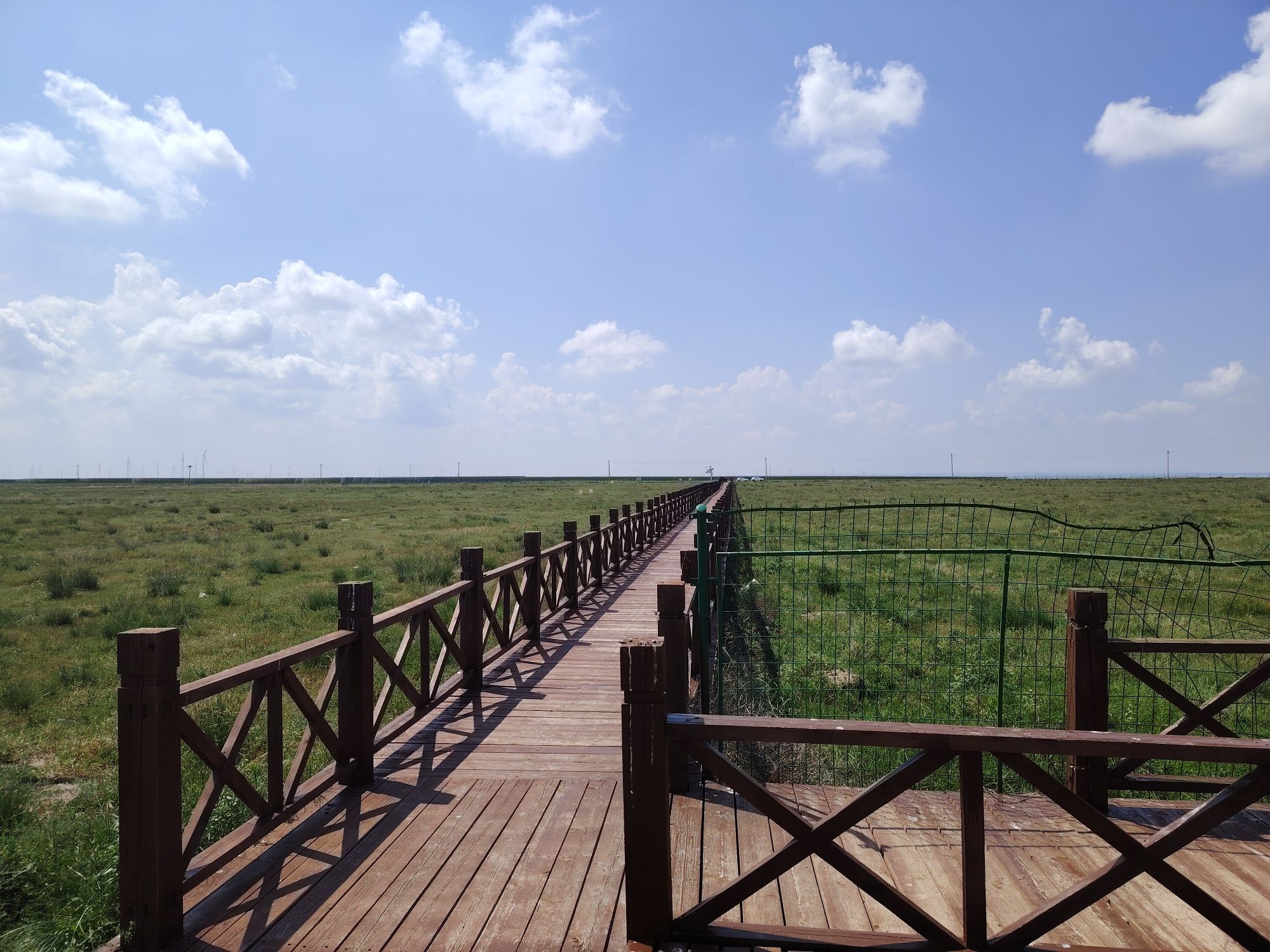 商都察汗淖尔国家湿地公园旅行图片 1