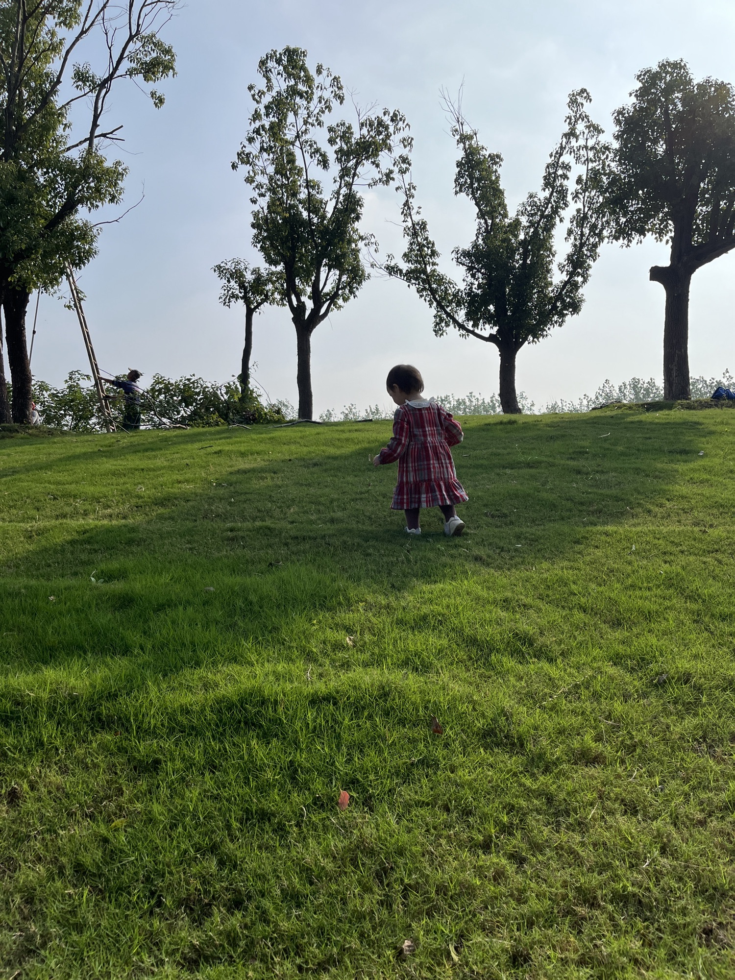 尚湖飞熊乐园旅行图片 1