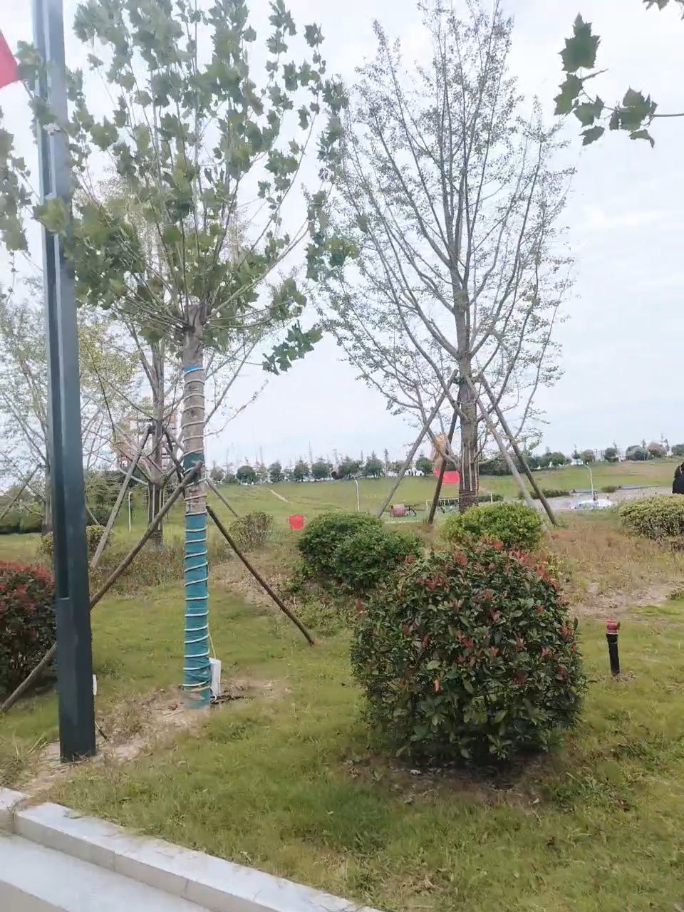日月湖太极花海旅行图片 3