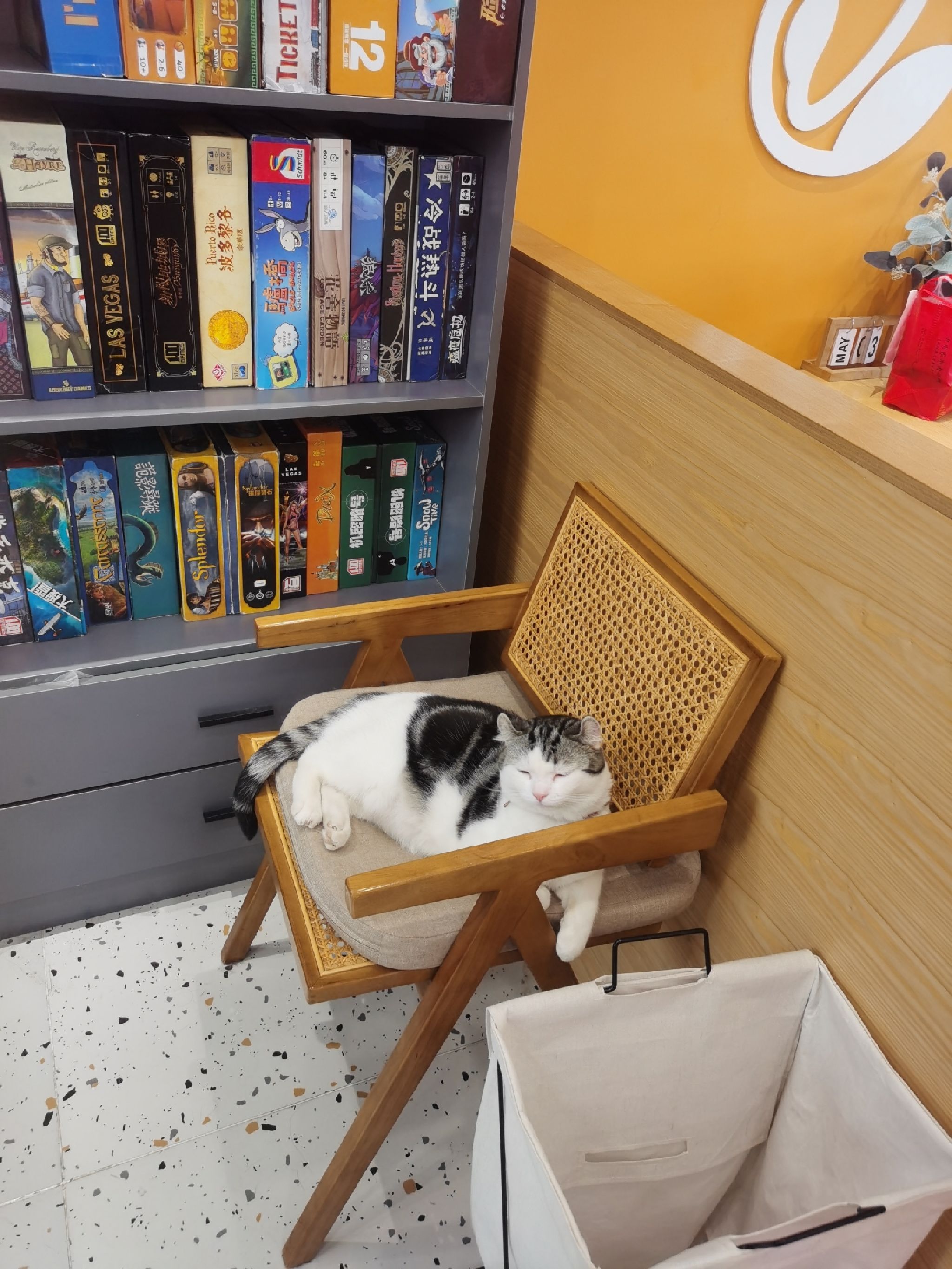 DORO多乐岛Club·助教·桌游·电玩·咖啡(泉乐坊店)