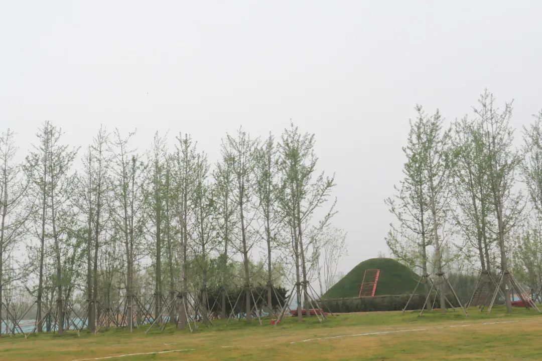 赵普生态文化公园旅行图片 3