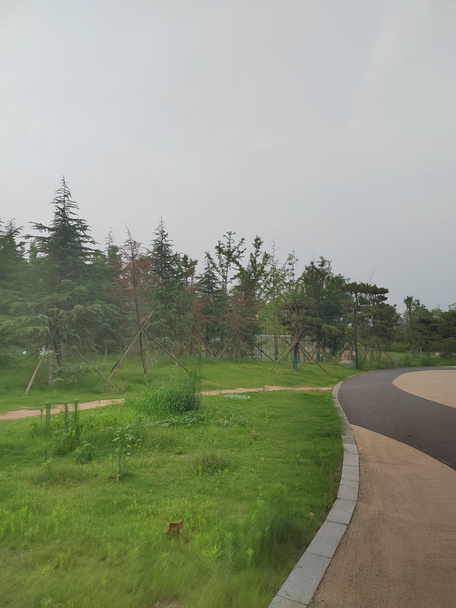 赵普生态文化公园旅行图片 2