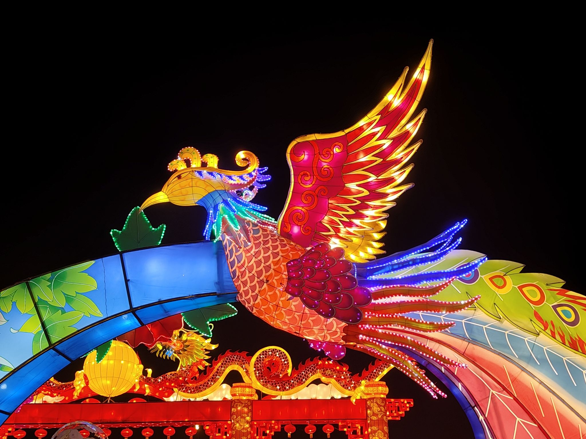 极限运动公园旅行图片 2