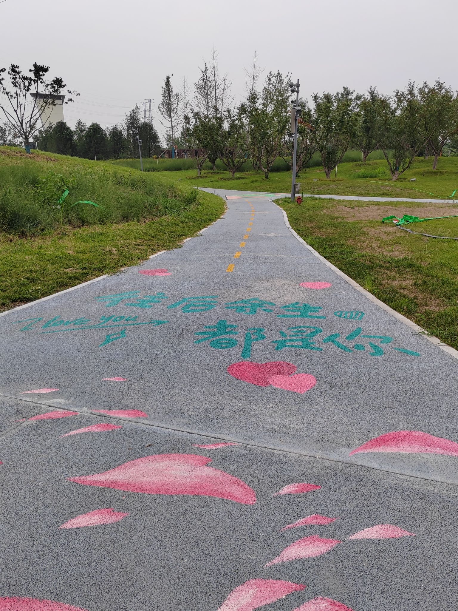 极限运动公园旅行图片 1