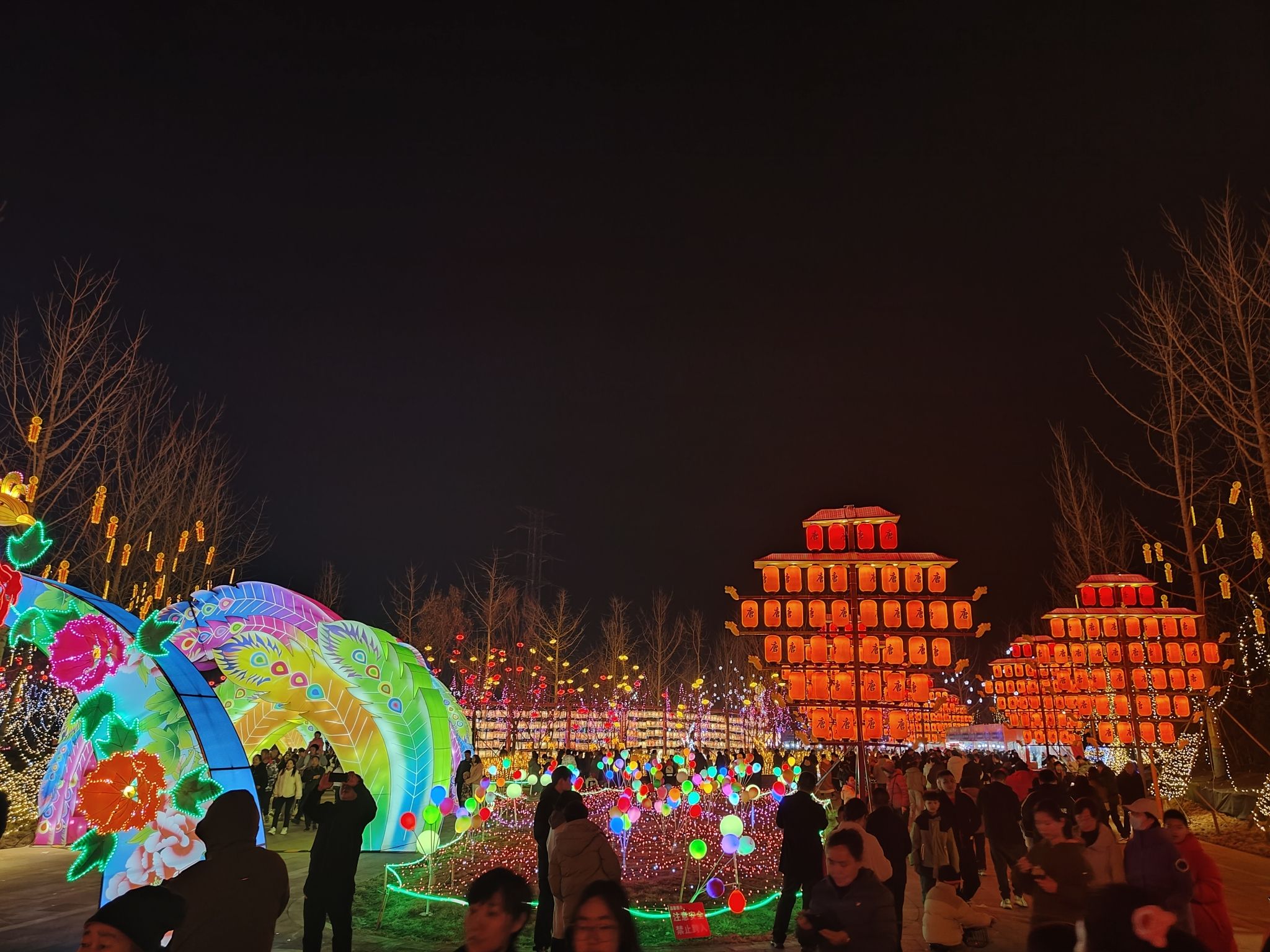 极限运动公园旅行图片 3