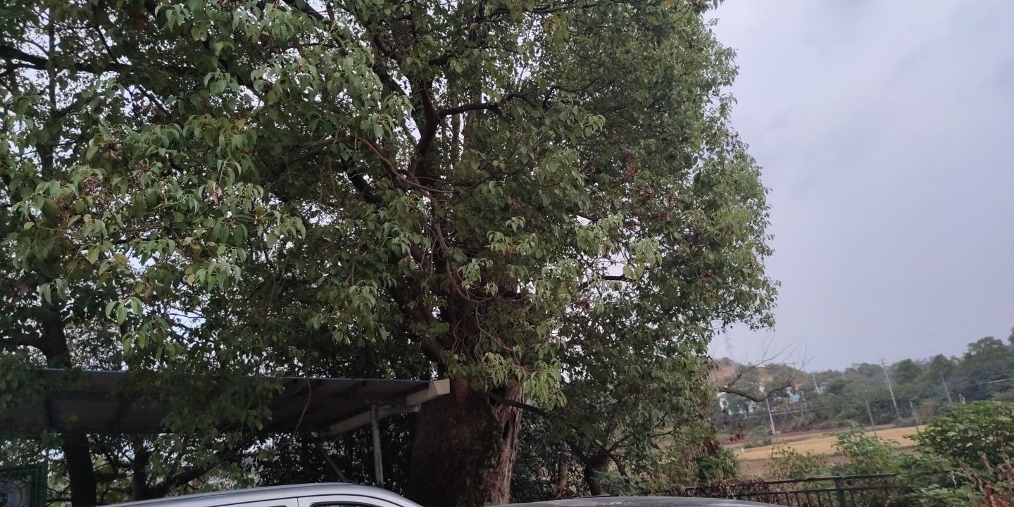 东风丝塘古井旅行图片 1