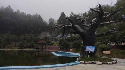 野鸡坪村红色主题公园旅行图片 3