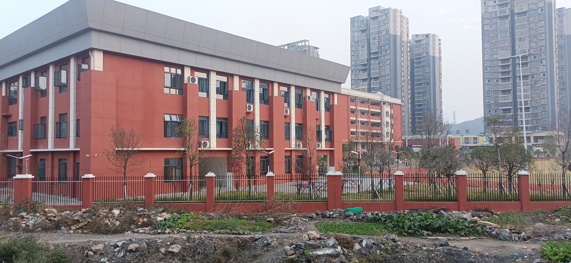 大科小学