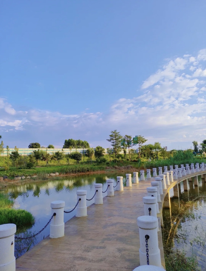鹿鸣湖公园旅行图片 3