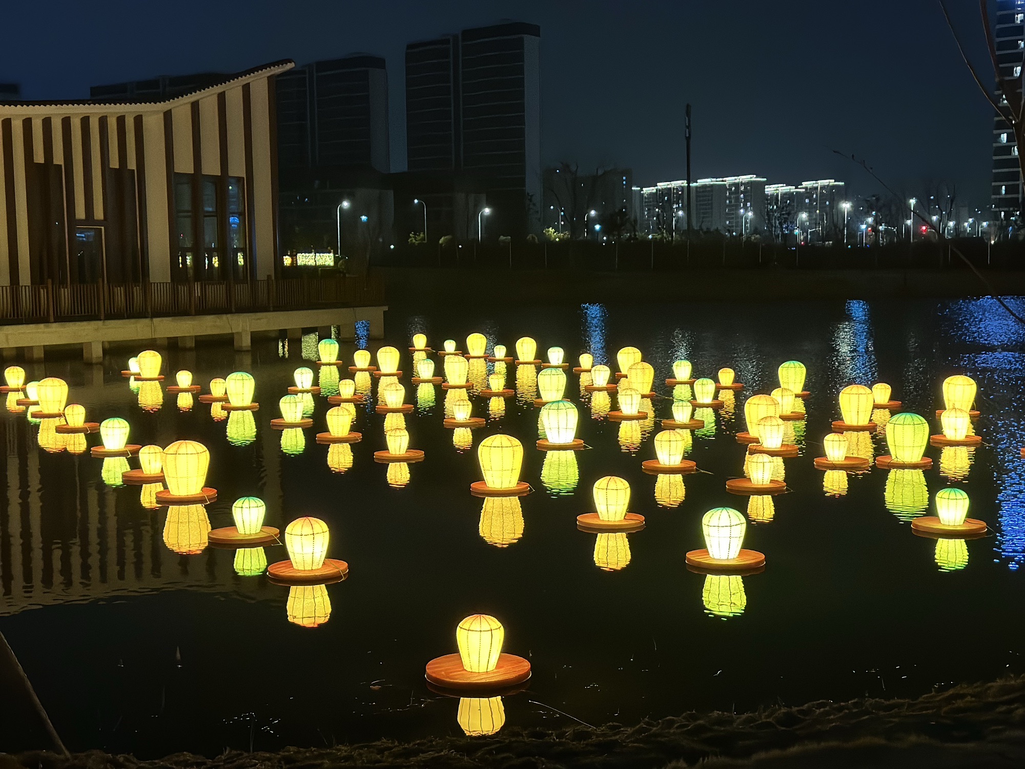 美兰西湖公园旅行图片 1