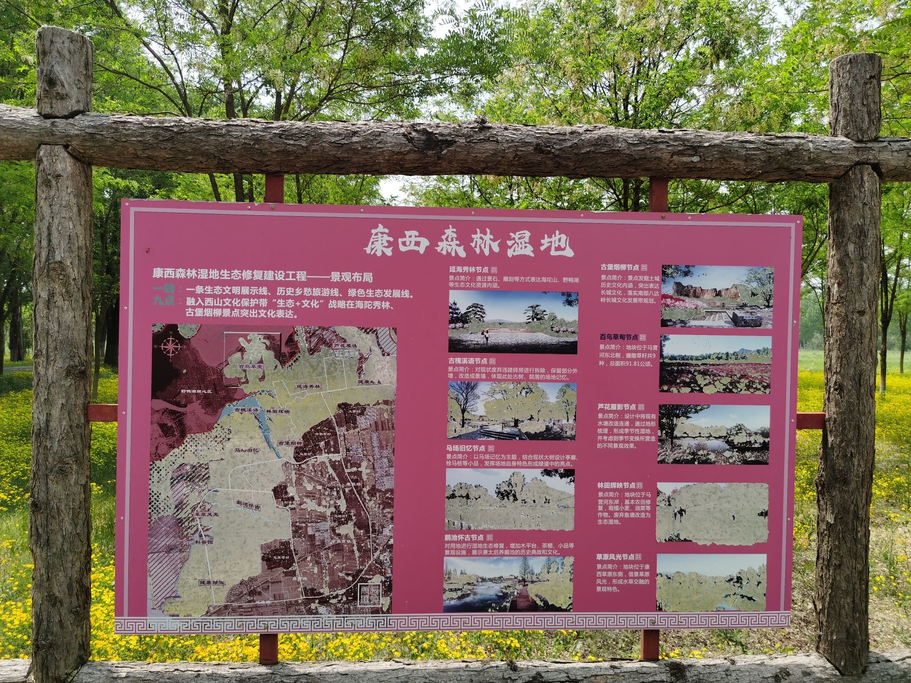 康西森林湿地公园延海秀林旅行图片 3