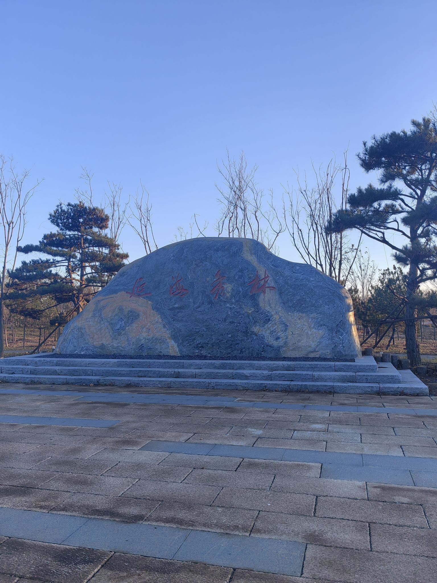 康西森林湿地公园延海秀林旅行图片 1